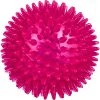 Best Sale ???? Leaps & Bounds Romp And Run Spiny Ball ???? Dog Toy ????