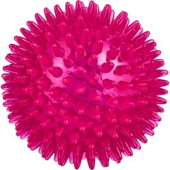 Best Sale ???? Leaps & Bounds Romp And Run Spiny Ball ???? Dog Toy ????