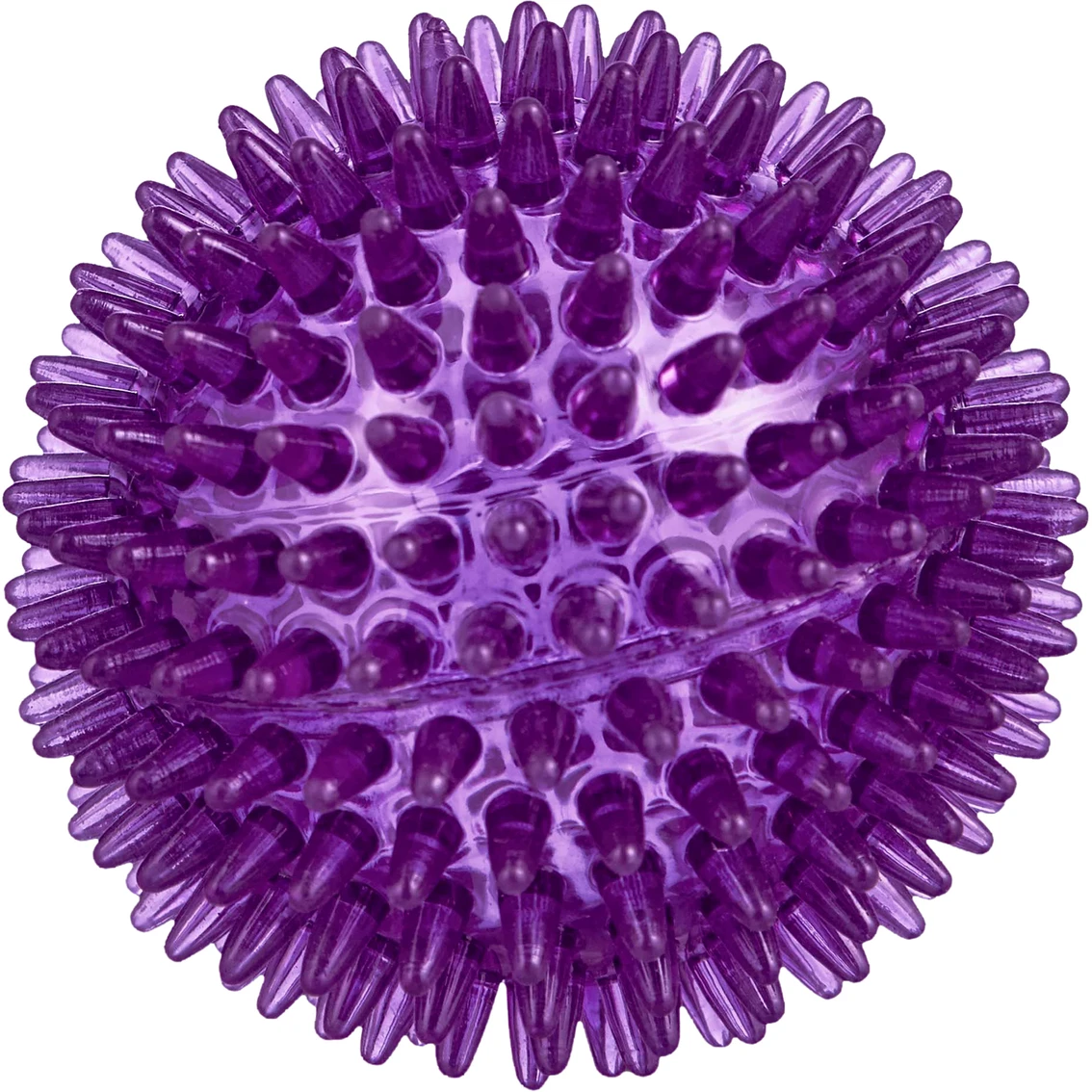 Best Sale ???? Leaps & Bounds Romp And Run Spiny Ball ???? Dog Toy ???? - Image 2