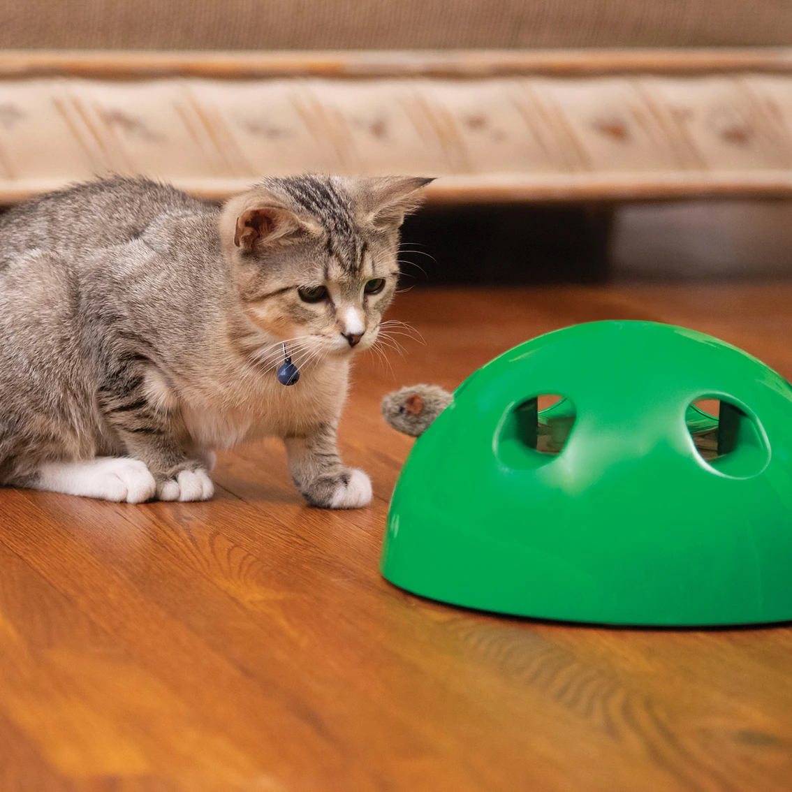 Best deal ???? Pet’s Knows Best Pets Know Best Pop N Play Cat Toy ???? - Image 6
