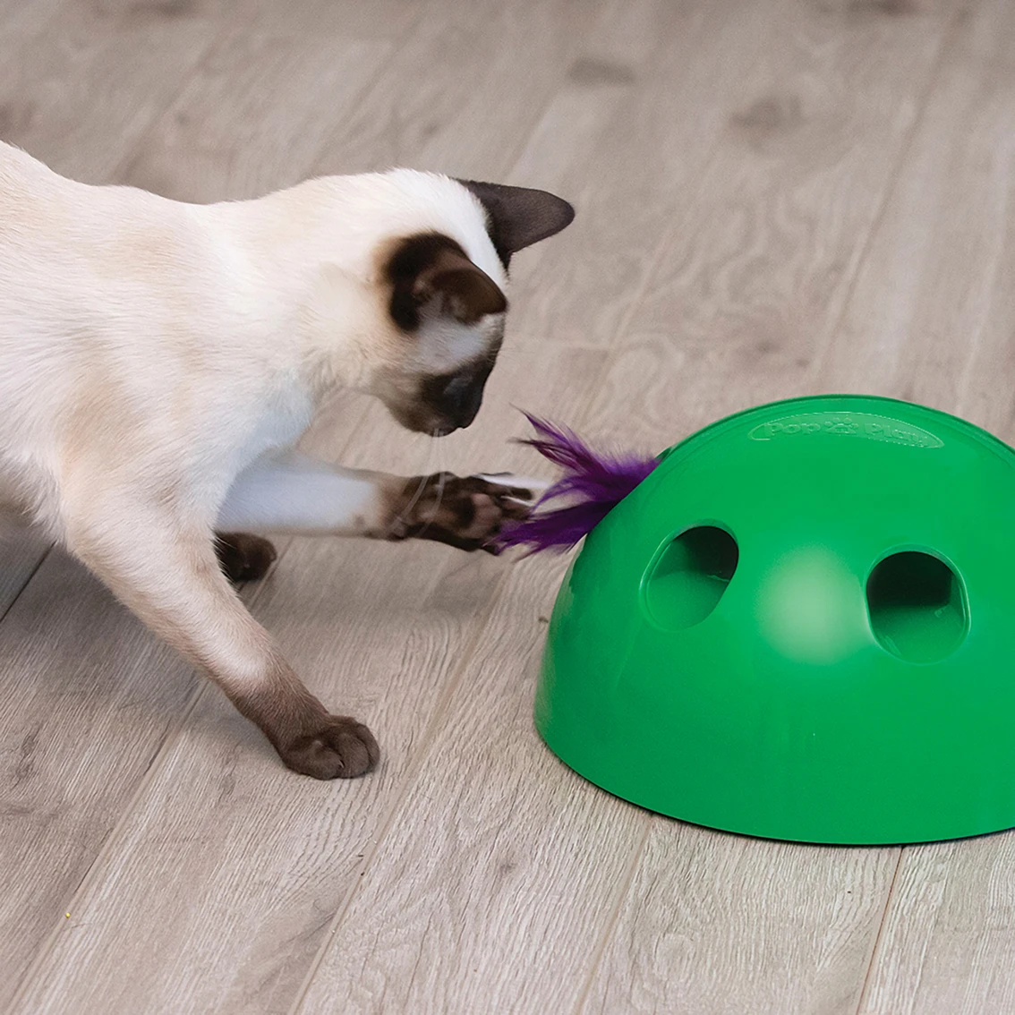 Best deal ???? Pet’s Knows Best Pets Know Best Pop N Play Cat Toy ???? - Image 7