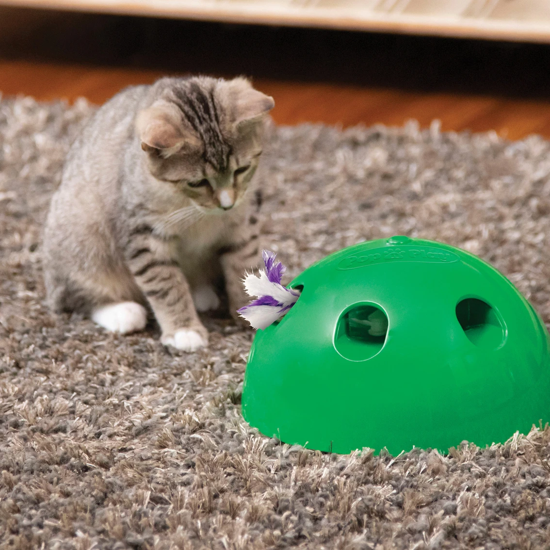 Best deal ???? Pet’s Knows Best Pets Know Best Pop N Play Cat Toy ???? - Image 8