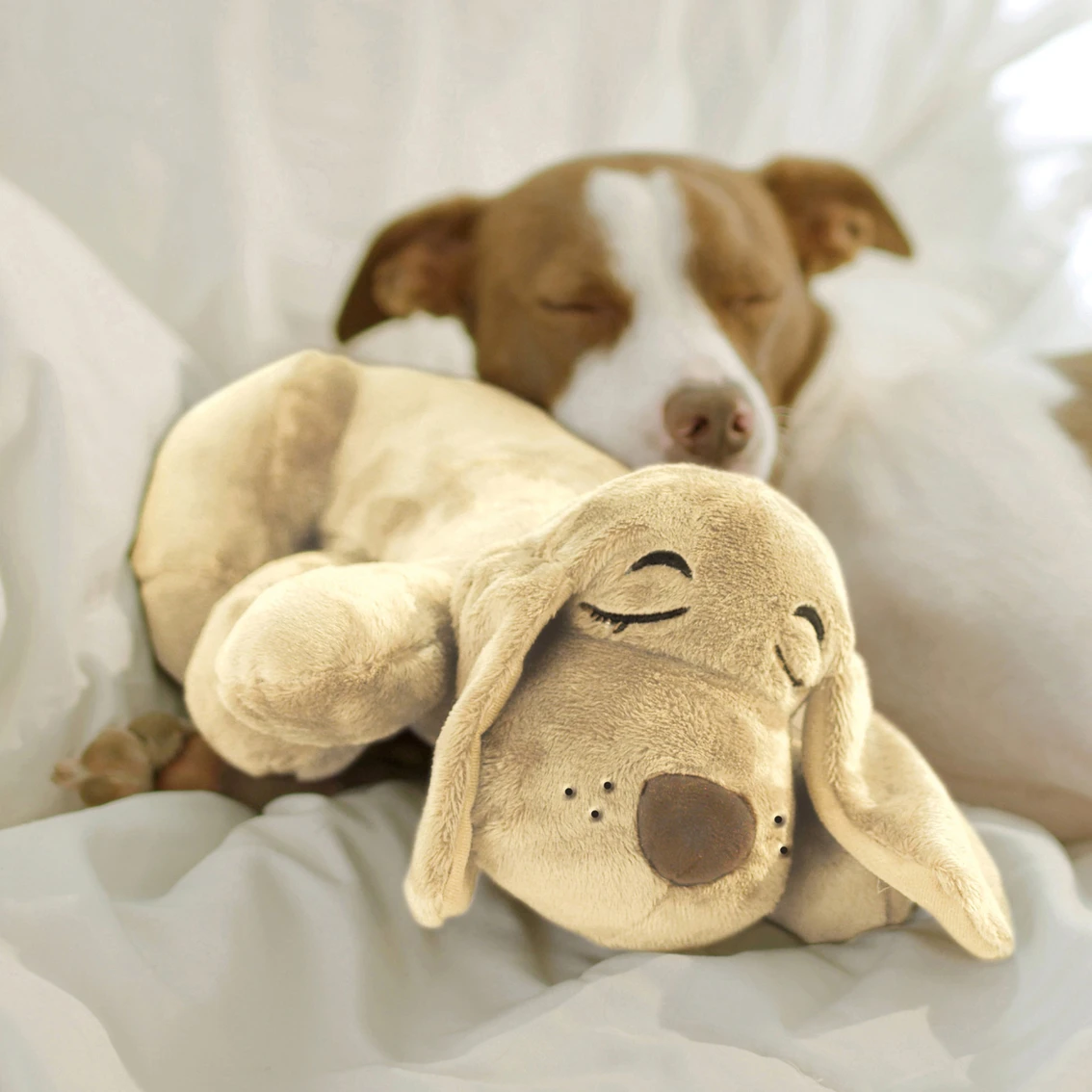 Discount ???? Pet’s Knows Best Pets Know Best Huggie Pup ???? Dog Toy ???? - Image 2