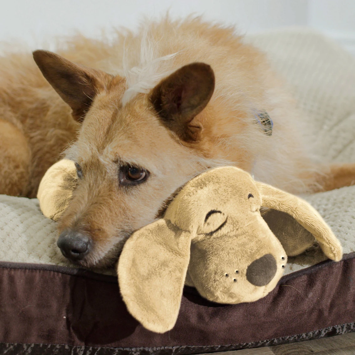 Discount ???? Pet’s Knows Best Pets Know Best Huggie Pup ???? Dog Toy ???? - Image 3