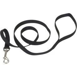 Best Pirce ???? Coastal Pet Single Ply Nylon ???? Dog Leash 6 Ft. ????