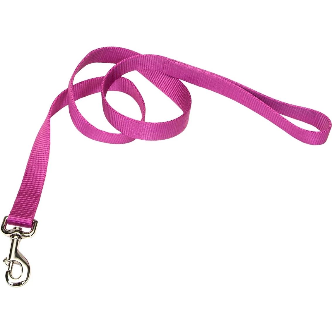 Best Pirce ???? Coastal Pet Single Ply Nylon ???? Dog Leash 6 Ft. ???? - Image 5