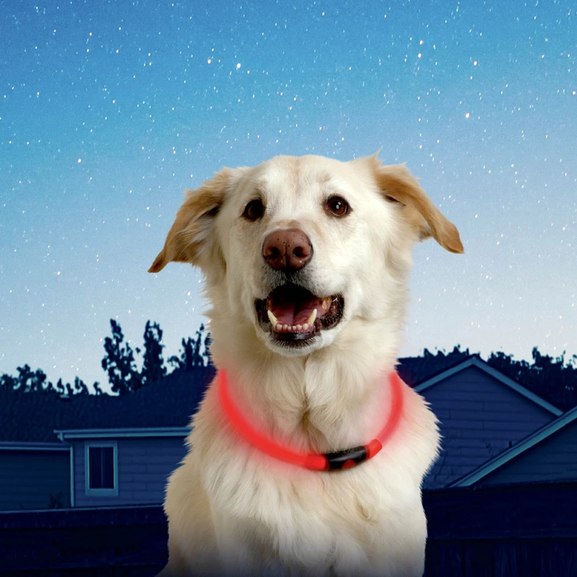 Best Pirce ???? Nite Ize Nite Howl Collar ????