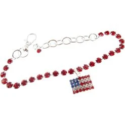 Flash Sale ???? Buddy G's U.S.A. Flag Collar ????