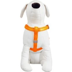 Best reviews of ???? Good 2 Go Reflective Adjustable Padded ???? Dog Harness ❤️