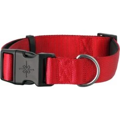 Budget ???? Youly Good 2 Go Neoprene Padded ???? Dog Collar ????