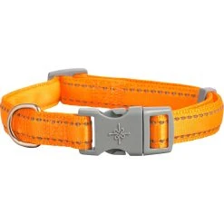 Cheapest ???? Youly Good 2 Go Reflective Adjustable Padded ???? Dog Collar ⭐