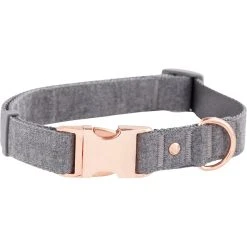 Deals β Bond & Co. Regal ???? Dog Collar β¨