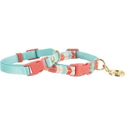 Buy ???? Bond & Co. Turquoise And Coral ???? Dog Collar, Extra Small And Small ????