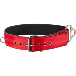Wholesale ✔️ Good 2 Go ???? Dog Collar For Big ???? Dogs ⌛
