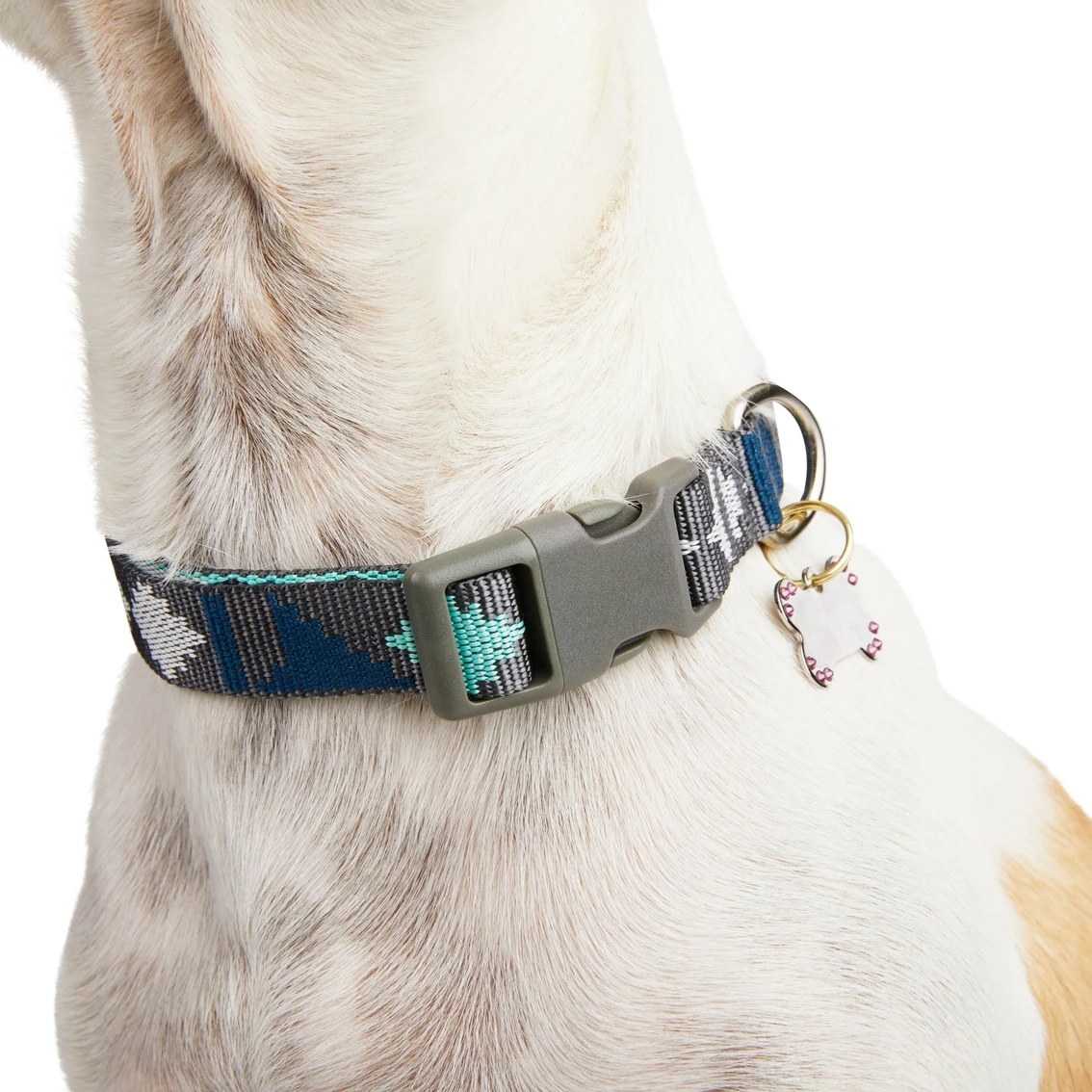 Promo ⭐ Good2Go Cool Desert Vibes ???? Dog Collar ???? - Image 5