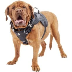 Deals ???? Good2Go Good 2 Go ???? Dog Harness β