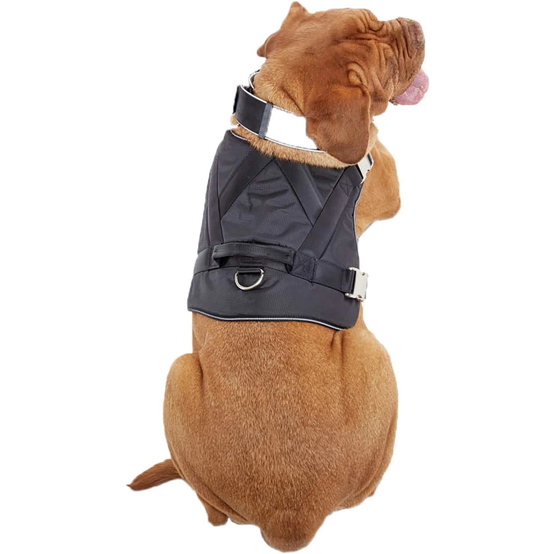 Deals ???? Good2Go Good 2 Go ???? Dog Harness ⭐ - Image 2