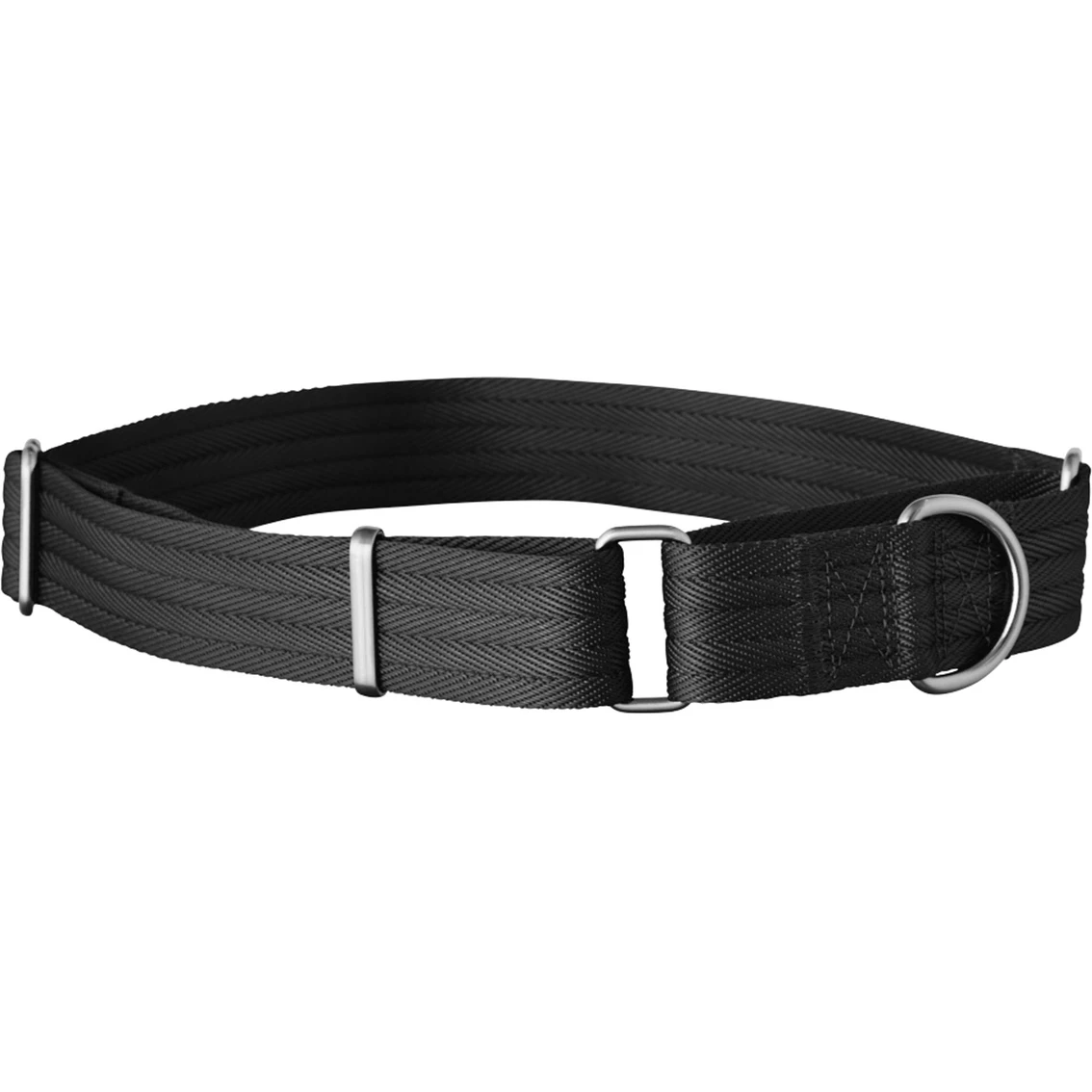 Outlet ???? EveryYay Good2Go Martingale ???? Dog Collar ???? - Image 2