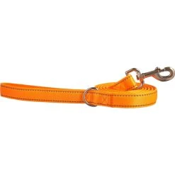 Buy ???? Good 2 Go Good2Go Reflective Padded Leash, 6 Ft. ????