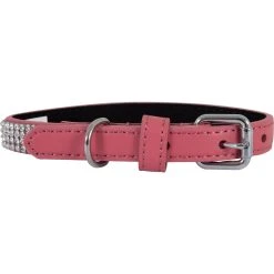 Outlet ???? Petmate Leather Bling ???? Dog Collar ✨