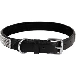 Deals ✔️ Petmate Leather Bling ???? Dog Collar ????