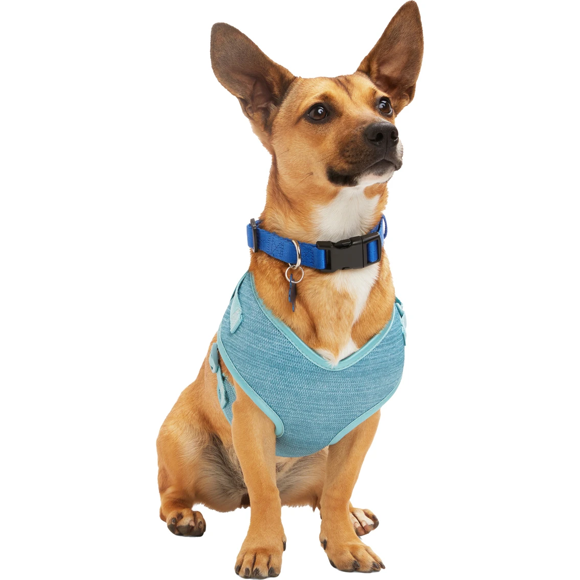 Brand new ❤️ EveryYay Every Yay Pullover ???? Dog Harness ????