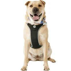 Deals ???? Youly The Classic Black Harness For Large ???? Dog, X Large And XX Large ????