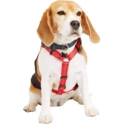 Buy ???? Youly Reflective Adjustable Padded Red ???? Dog Harness, Small ????