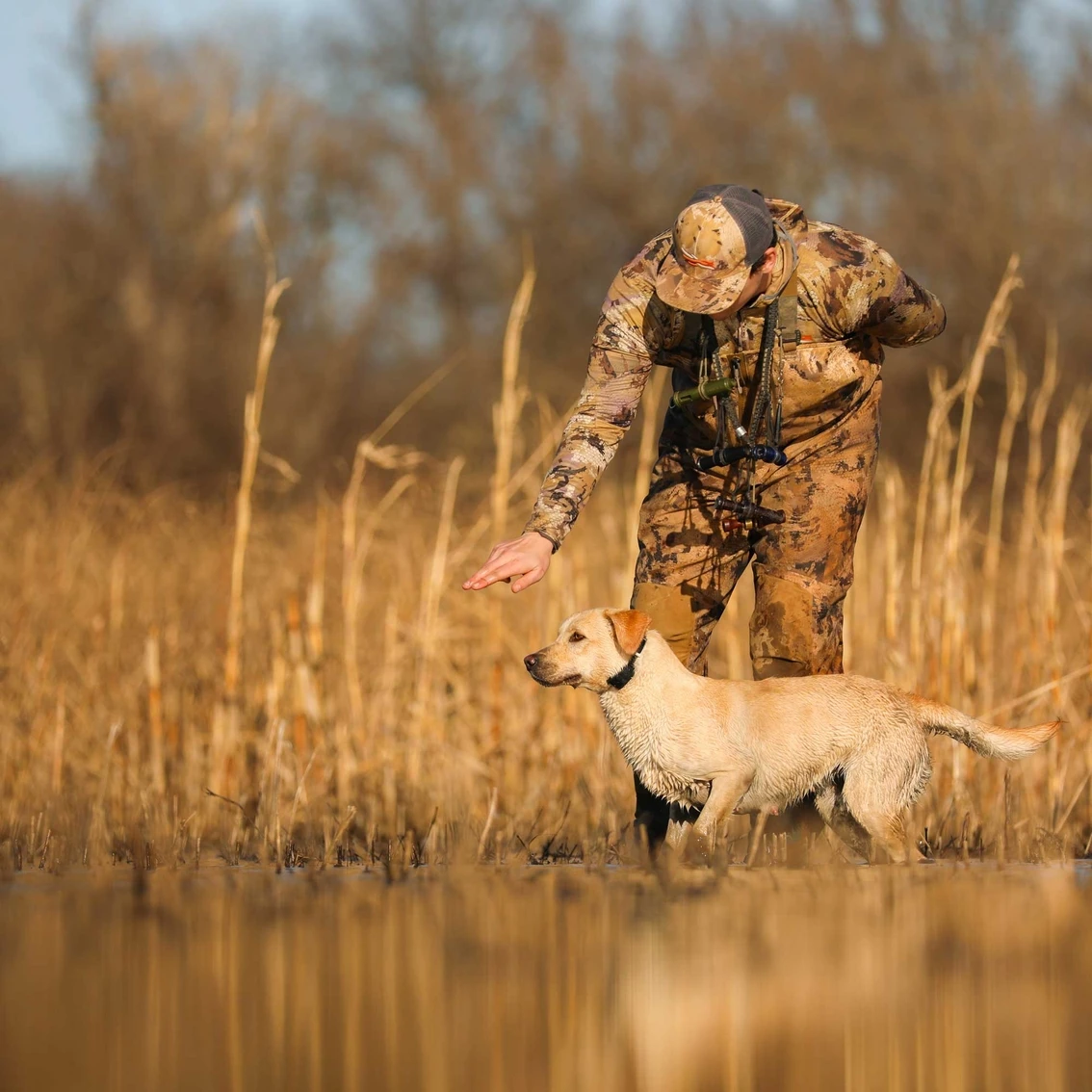 Hot Sale ???? Garmin Delta SE ???? Dog Collar ✔️ - Image 10