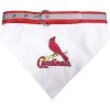 Best Sale ???? Pets First MLB St. Louis Cardinals Collar Bandana ⌛