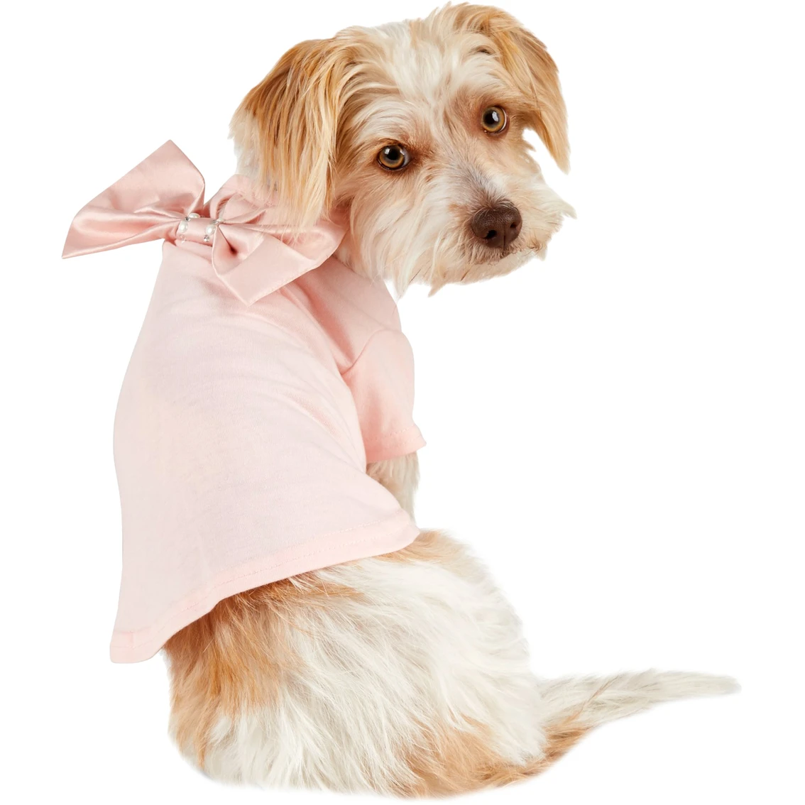 Flash Sale ???? Petco Bond & Co. Bejeweled Bow ???? Dog Tee, X-Small ❤️