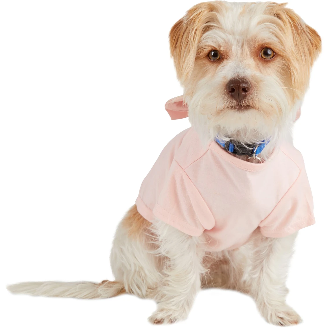 Flash Sale ???? Petco Bond & Co. Bejeweled Bow ???? Dog Tee, X-Small ❤️ - Image 2
