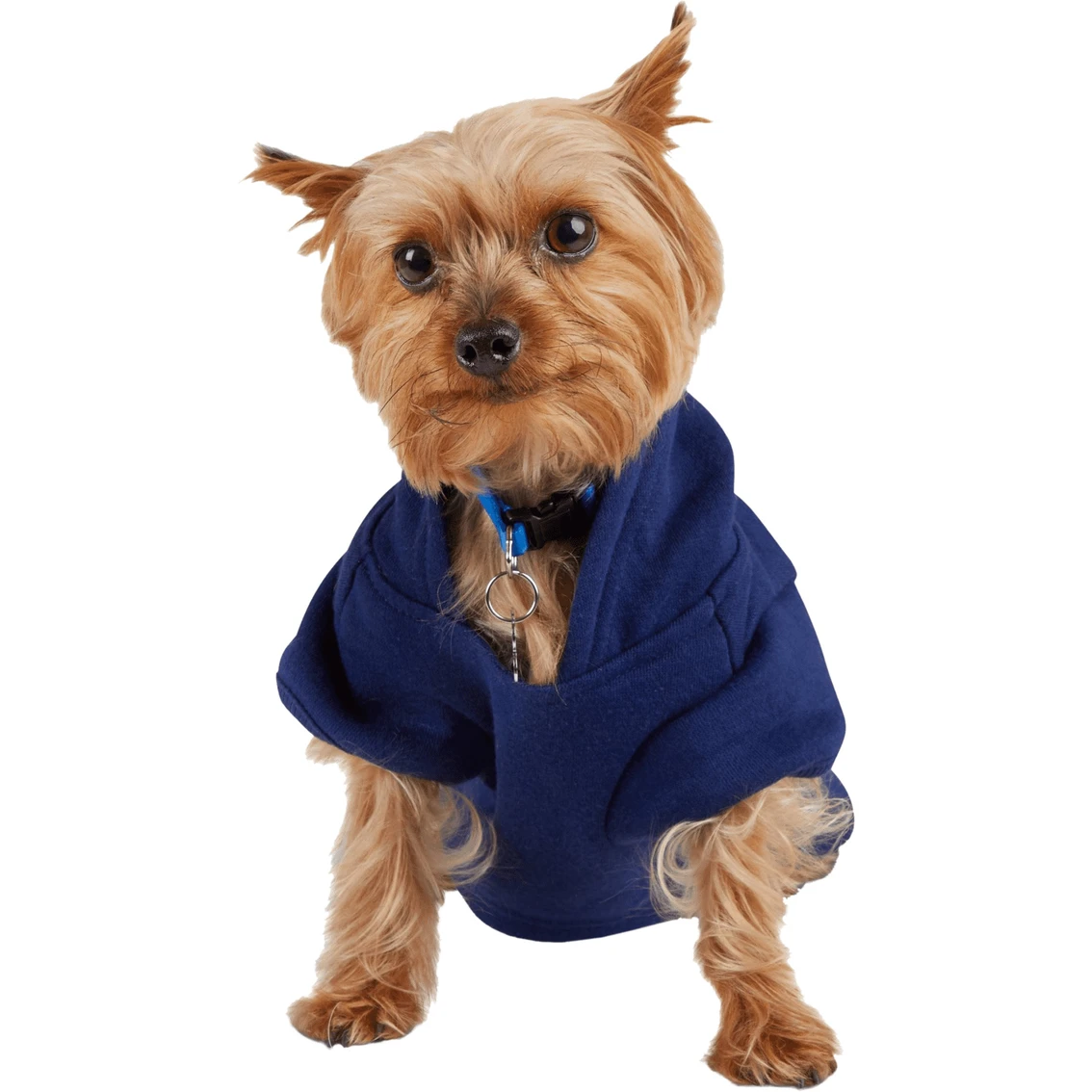 Outlet ???? Petco Bond & Co. Home Slice ???? Dog Hoodie ???? - Image 2