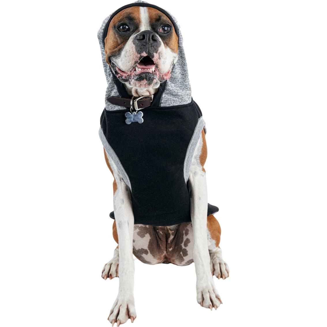 Outlet ???? Petco Bond & Co. Problem Child Graphic ???? Dog Hoodie ✨ - Image 2