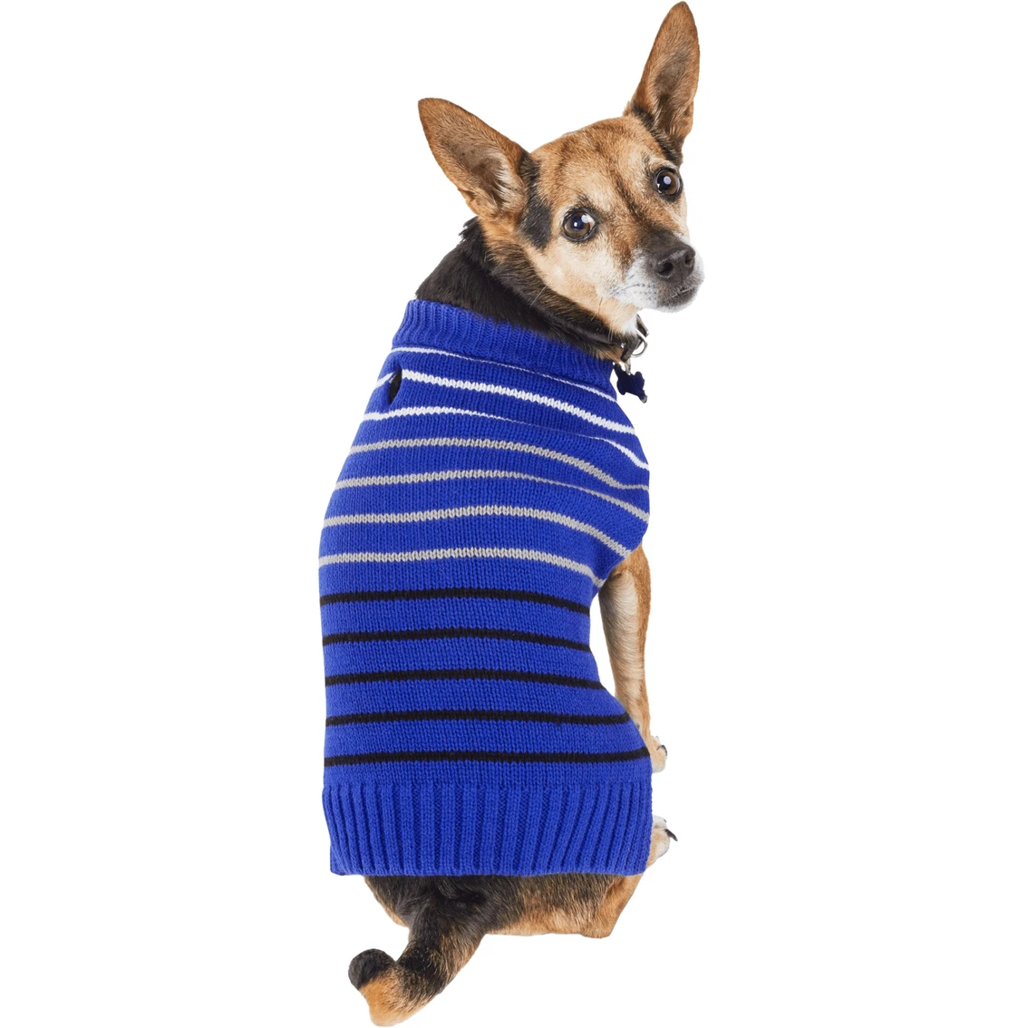 Discount ❤️ Petco Bond & Co. Blue Knit Striped ???? Dog Sweater, Medium ????