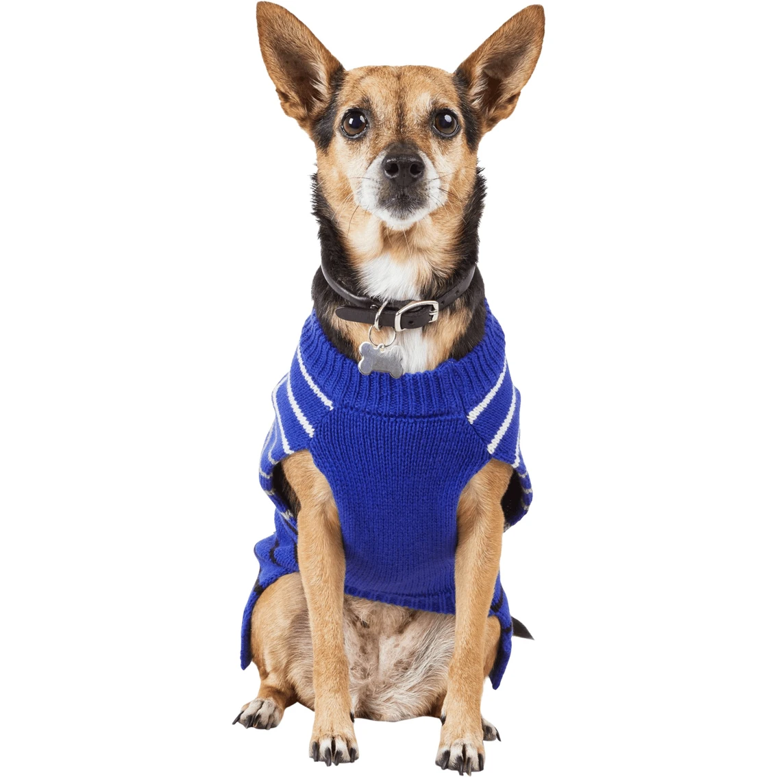 Discount ❤️ Petco Bond & Co. Blue Knit Striped ???? Dog Sweater, Medium ???? - Image 2
