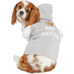 Deals ⭐ Petco Bond And Co. Nap Queen ???? Dog Hoodie ????