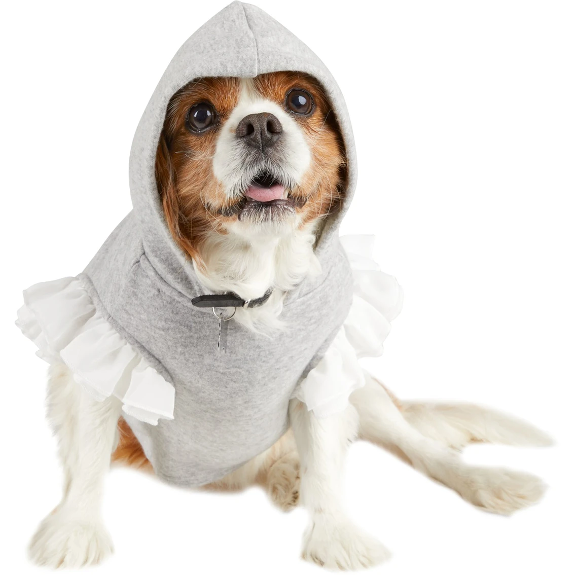 Deals ⭐ Petco Bond And Co. Nap Queen ???? Dog Hoodie ???? - Image 3