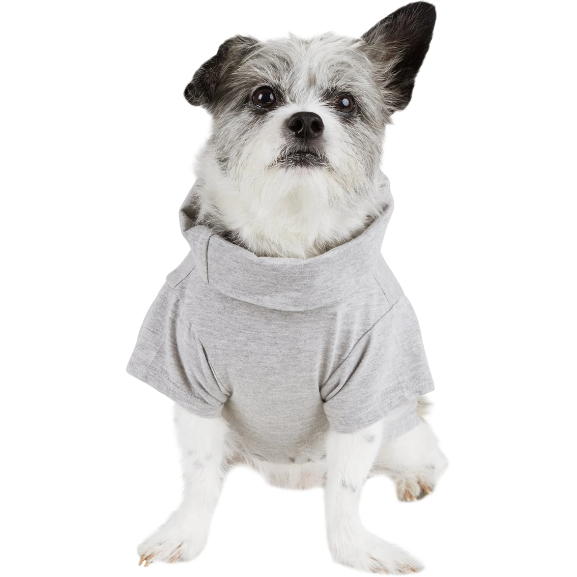 Top 10 ⭐ Petco Bond & Co. Pretty Princess ???? Dog Tee ???? - Image 2