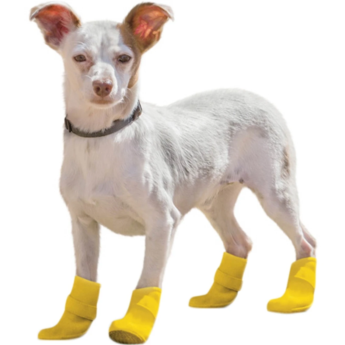 Best Sale ???? Good 2 Go Rain Or Shine Silicone ???? Dog ???? Boots, Yellow ✨ - Image 3