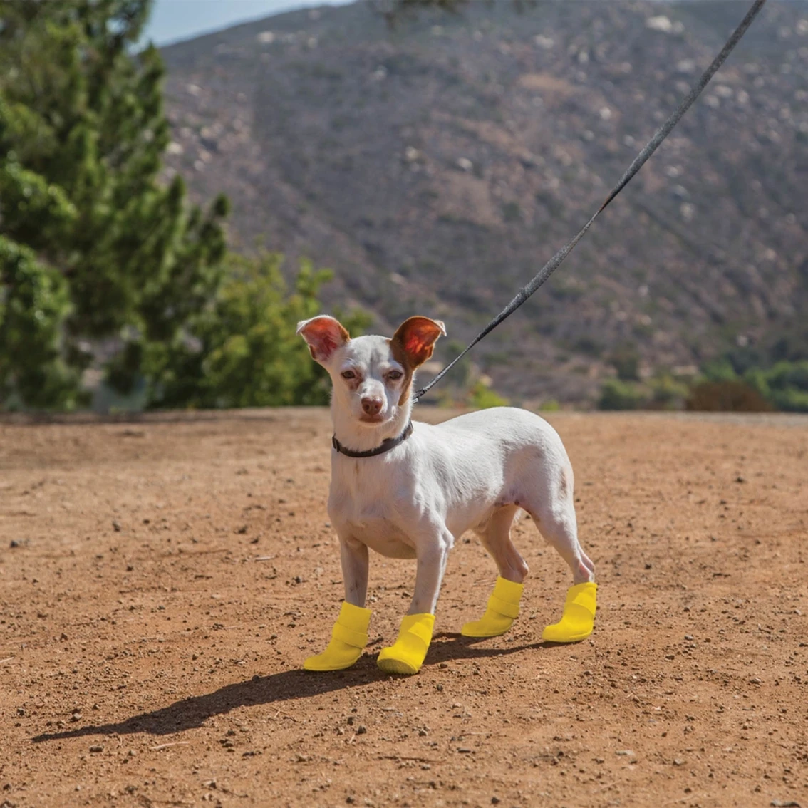 Best Sale ???? Good 2 Go Rain Or Shine Silicone ???? Dog ???? Boots, Yellow ✨ - Image 5