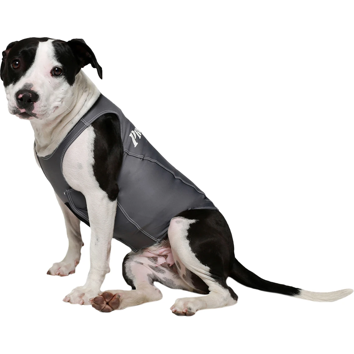 Outlet ???? ProDogg Pro ???? Dogg Anti Anxiety Calming ???? Shirt ❤️ - Image 4