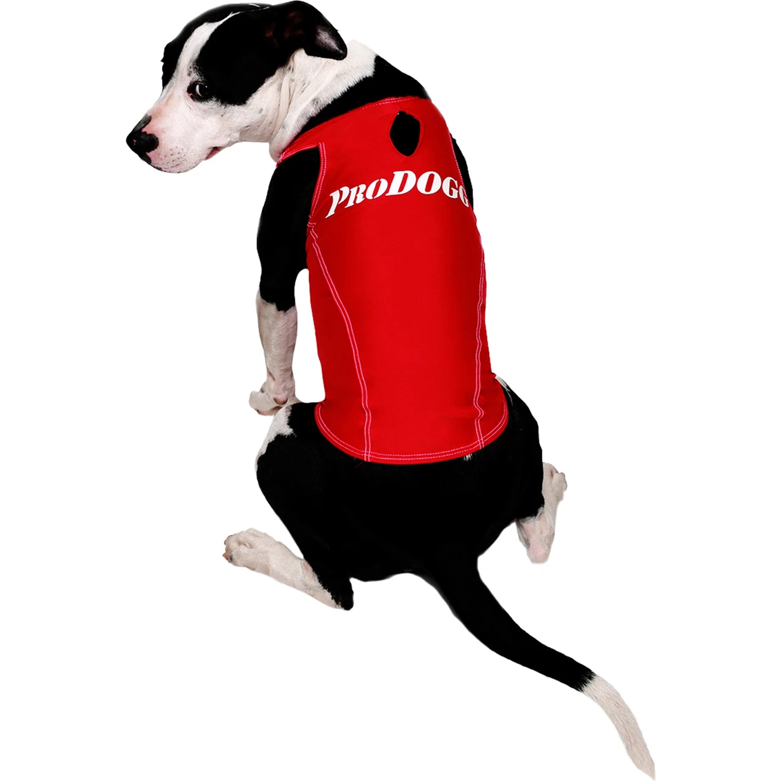 Outlet ???? ProDogg Pro ???? Dogg Anti Anxiety Calming ???? Shirt ❤️ - Image 5