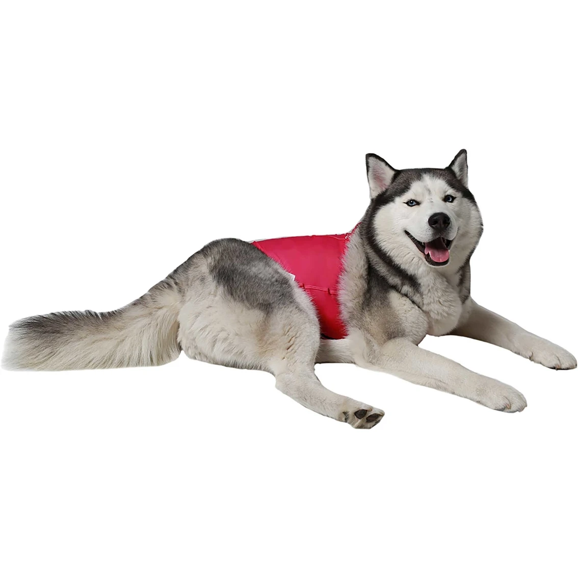 Best Sale ???? ProDogg Anti Anxiety Calming ???? Shirt ???? - Image 2