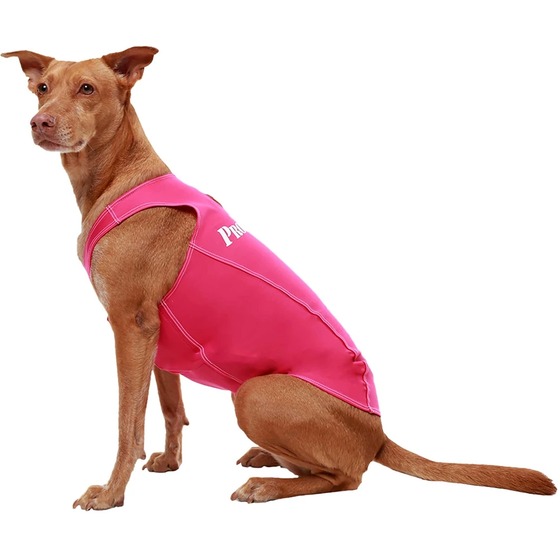 Best Sale ???? ProDogg Anti Anxiety Calming ???? Shirt ???? - Image 3