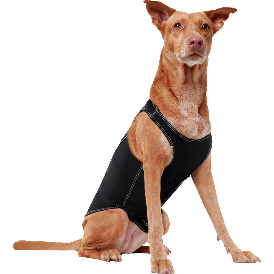 Best Sale ???? ProDogg Anti Anxiety Calming ???? Shirt ???? - Image 5