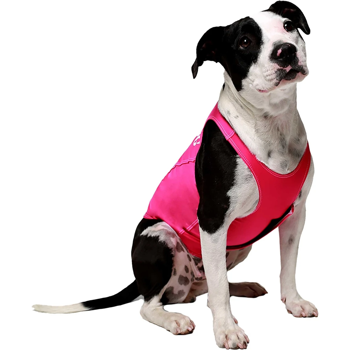 Flash Sale ???? ProDogg Anti Anxiety Calming ???? Shirt ???? - Image 2