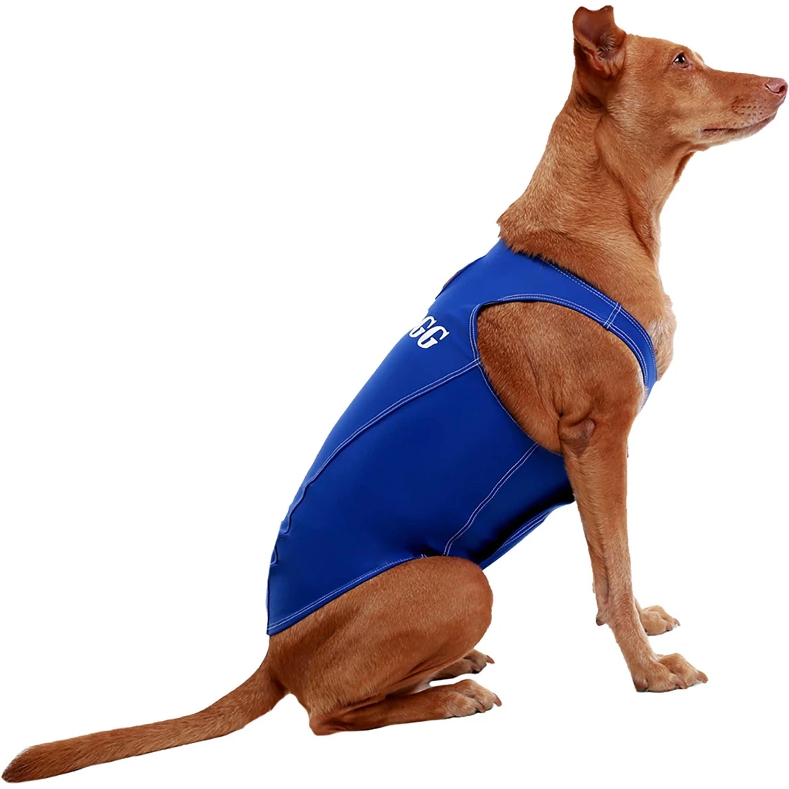 Flash Sale ???? ProDogg Anti Anxiety Calming ???? Shirt ???? - Image 3