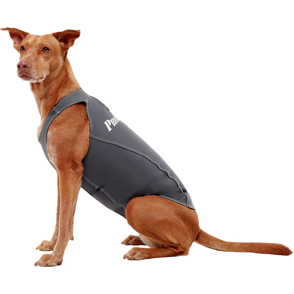 Flash Sale ???? ProDogg Anti Anxiety Calming ???? Shirt ???? - Image 4