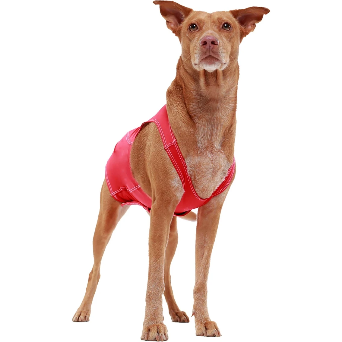 Flash Sale ???? ProDogg Anti Anxiety Calming ???? Shirt ???? - Image 5